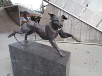 Oslo am Holmenkollen