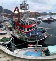 Svolvær - Nur das Genie beherrscht das Chaos....