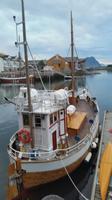 Fischerboote in Svolvær