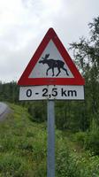 Vorsicht Elch - Norwegisches Verkehrswarnschild