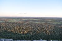 Abendspaziergang auf dem Luostotunturi - Finnisch Lappland