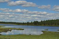Die Achterbahn auf der finnischen Staatsstraße 92 von Inari nach Karasjok