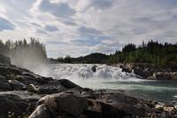 Laksforsen - In diesem Jahr mit springenden Lachsen