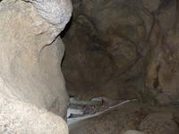 Bärenhöhle bei Inari