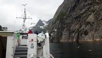 Seeadler-Safari von Hanøy nach Svolvaer (Trollfjord)