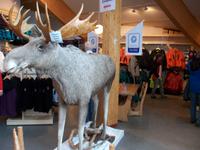 Nocheinmal Polarkreis