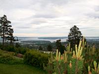 Blick nach Oslo vom Holmenkollen