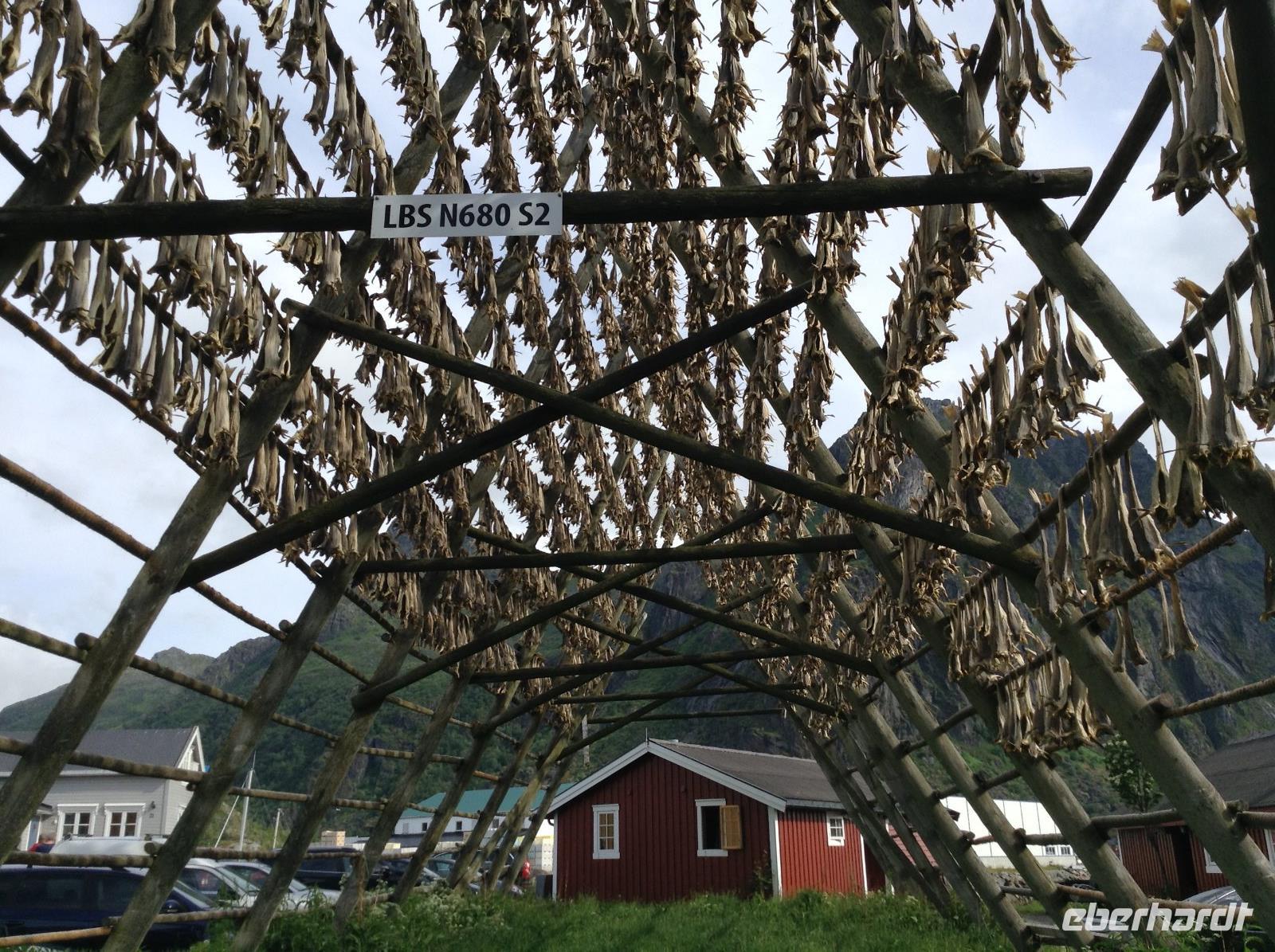 getrockneter Kabeljau