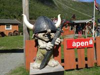 Fotostop am Dovrefjell