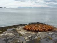 Skulpturlandskap Nordland 