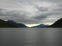 Seeadlersafari - Raftsund