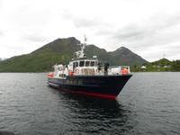 Seeadlersafari - unser Schiff kommt