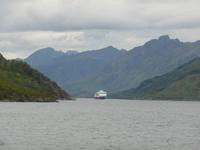 Seeadlersafari - Hurtigrute im Raftsund