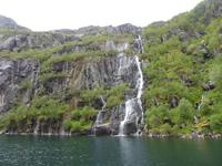 Seeadlersafari - Trollfjord