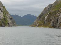 Seeadlersafari - schmaler Zugang zum Trollfjord