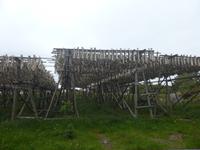 Mortsund - Stockfischgestelle