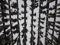 Mortsund - Stockfischgestelle