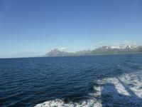 Lofoten - Fähre Svolvaer - Skutvik