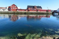 In Henningsvaer