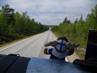 mit Elch unterwegs in Finnland