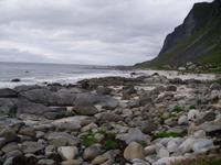 in Vikten auf den Lofoten