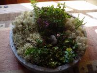 Blumenschale in Dovre Gubben