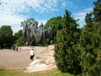 Helsinki, Sibelius - Monument