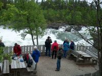 Blick zum Malselvfossen 