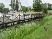 gefiederte Besucher am Götakanal...
