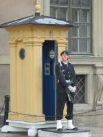 Wache vor dem Königlichen Schloss in Stockholm