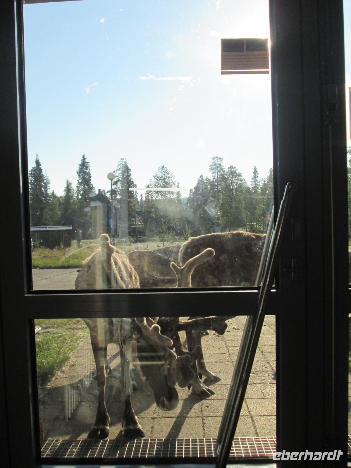 ...ups, wer will da ins Hotel ?