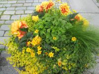 farbenfrohes Trondheim