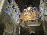 Nidarosdom: romanisches Querschiff und Wagner-Orgel