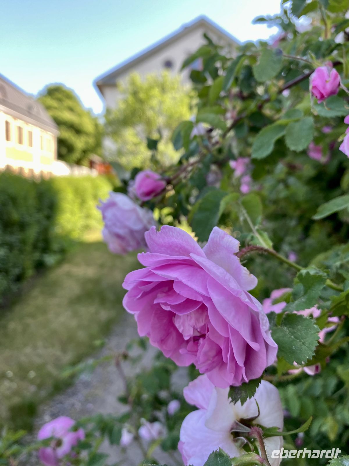 Tag 2 - Freilichtmuseum Linköping 