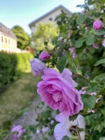 Tag 2 - Freilichtmuseum Linköping 