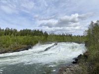 Tag 8 - Målselvfossen