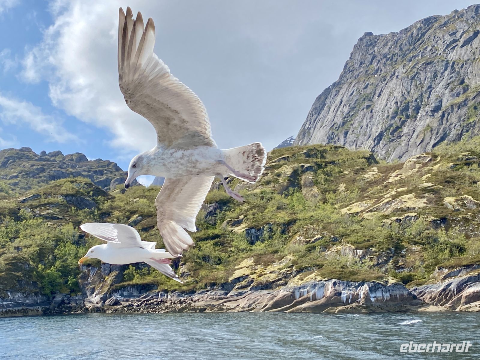 Tag 9 - Auf der Suche nach Seeadlern