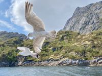 Tag 9 - Auf der Suche nach Seeadlern