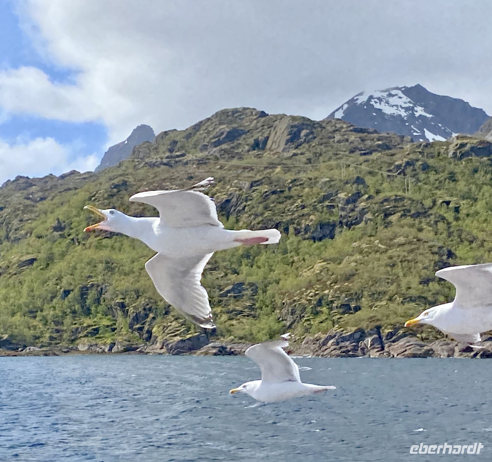 Tag 9 - Wegbegleiter 