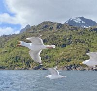 Tag 9 - Wegbegleiter 