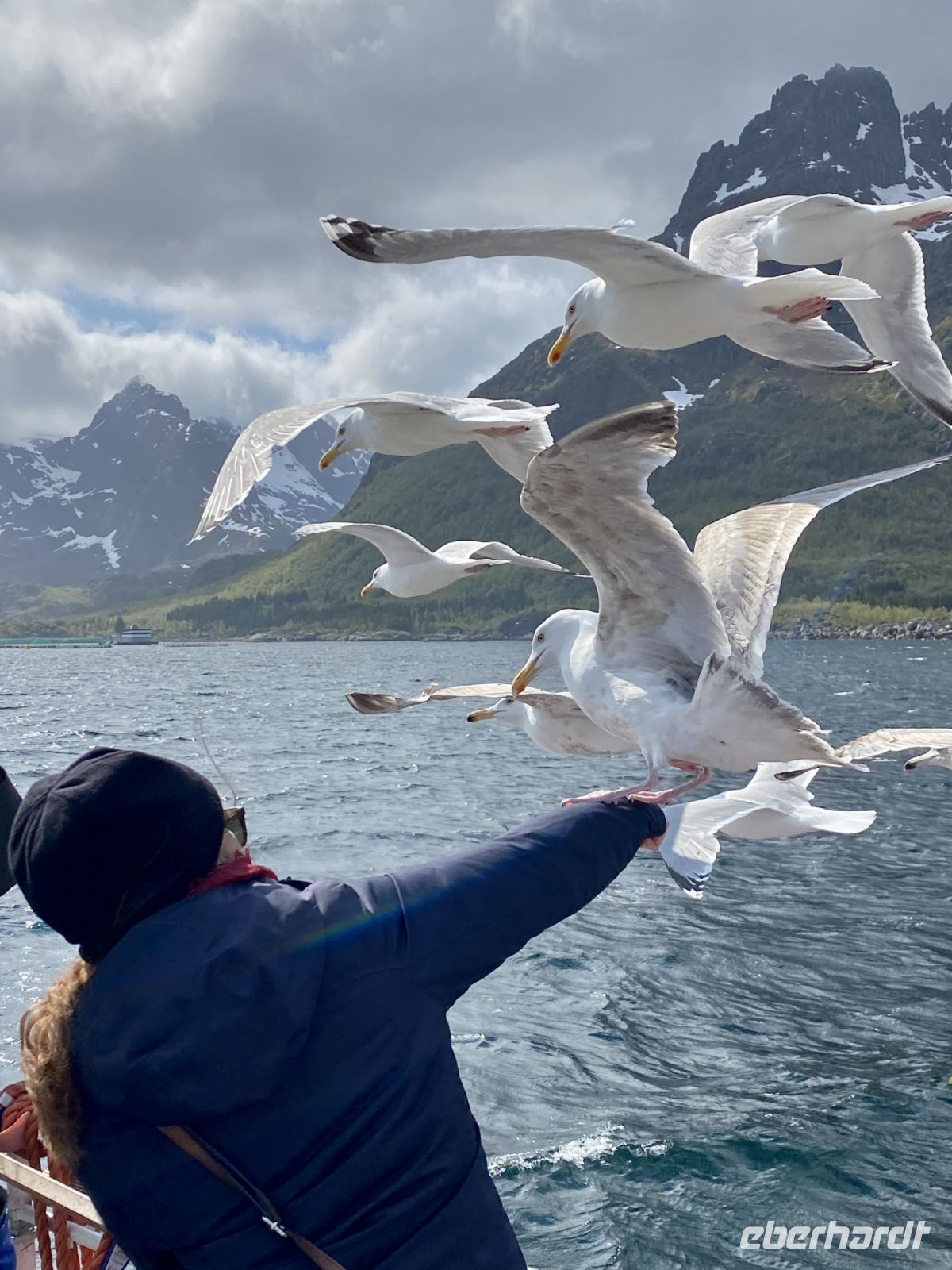 Tag 9 - Raubtierfütterung