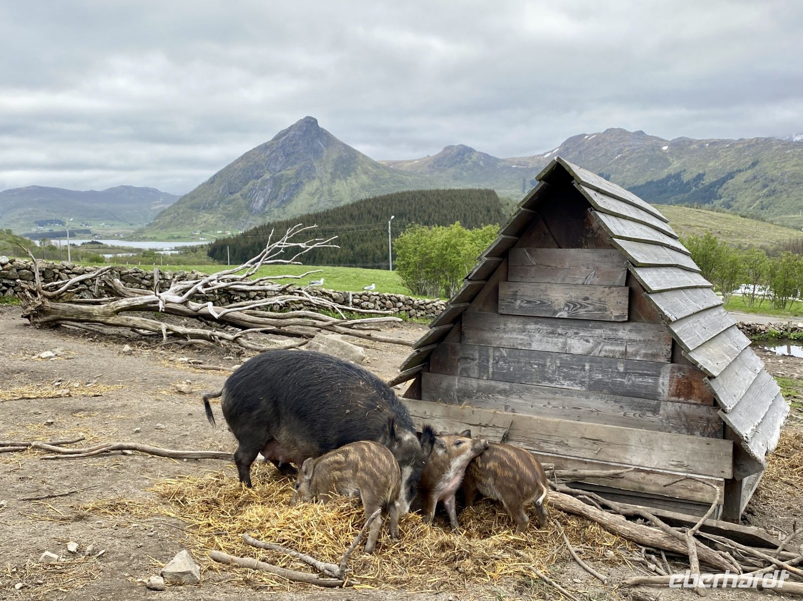 Tag 10 - Beim Wikingermuseum 