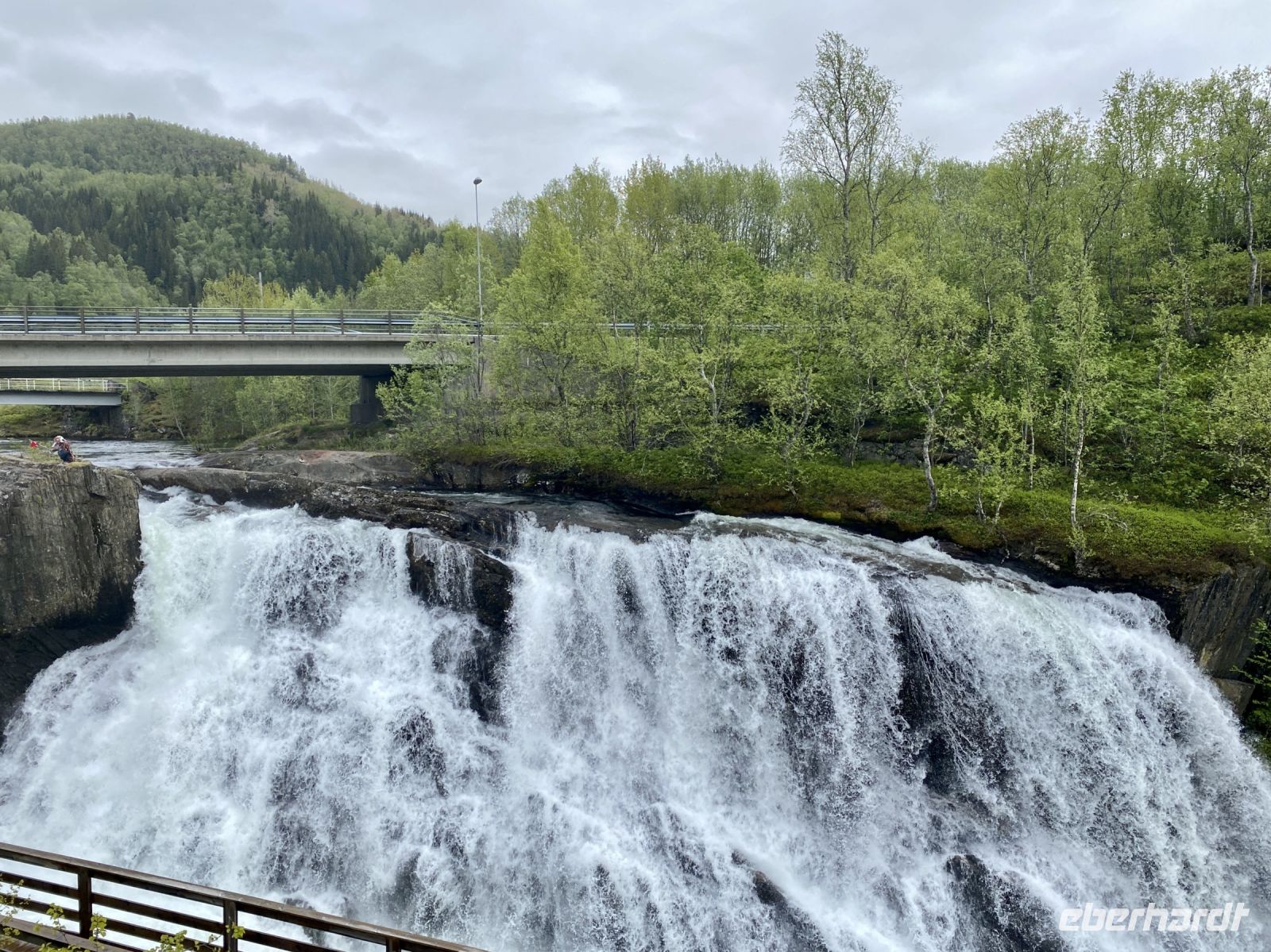 Tag 11 - Troll gesichtet