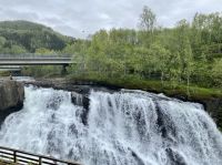 Tag 11 - Troll gesichtet