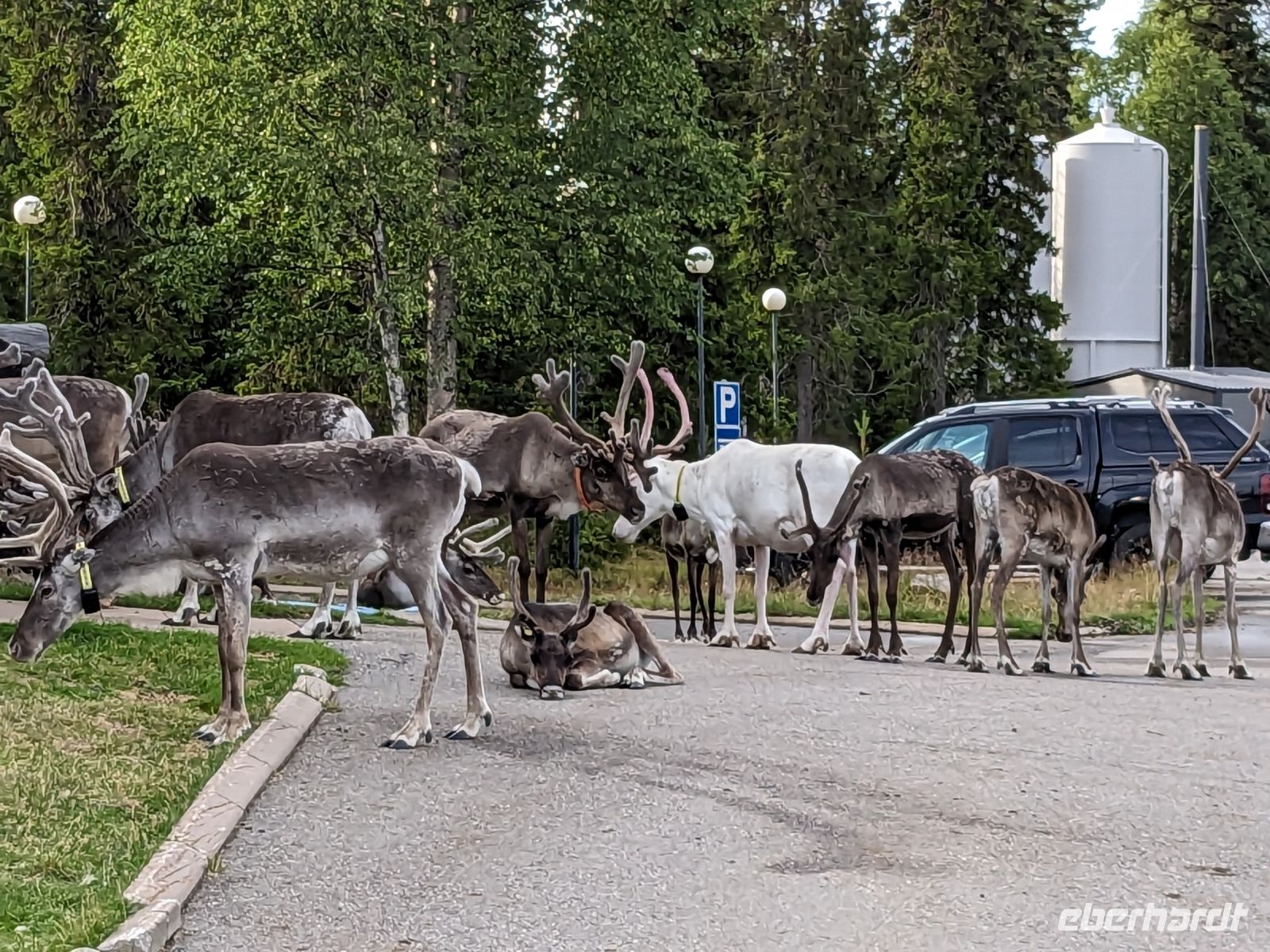 Gedränge vor dem Hotel in Luosto ...