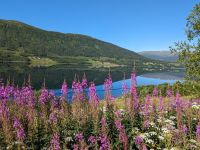 von Tromsø zu den Vesterålen 