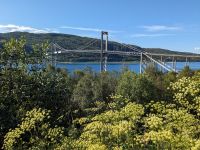 Tjeldsundbrücke kurz vor Harstad