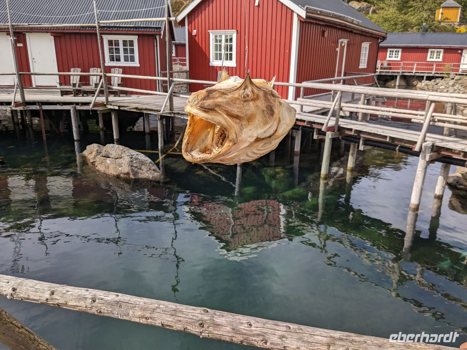 im UNESCO-geschützten Dorf Nusfjord