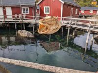 im UNESCO-geschützten Dorf Nusfjord