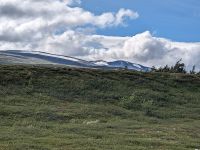 Blick über das Saltfjell knapp oberhalb des Polarkreises